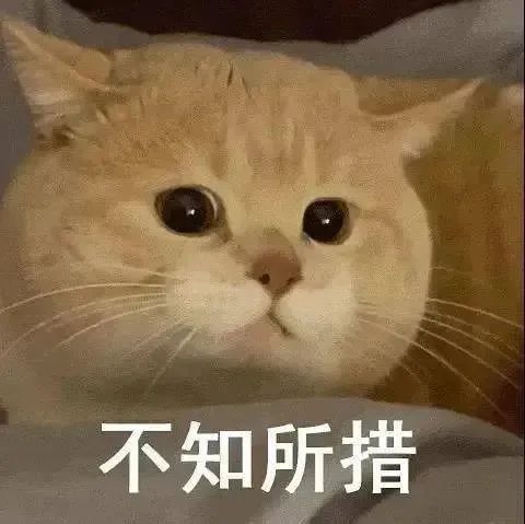 DƬ